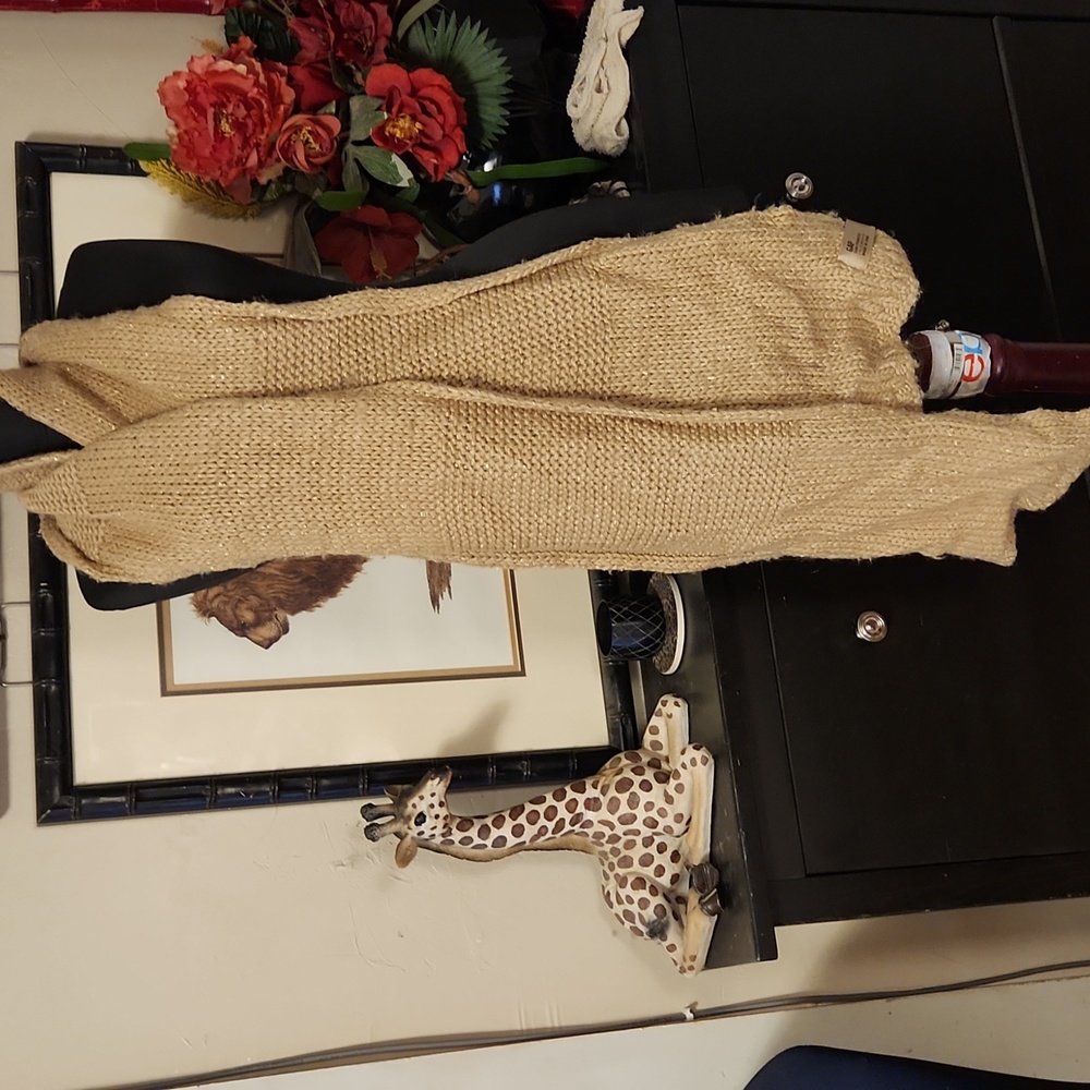 GAP Knit Scarf